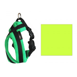 10SFH6LIME
